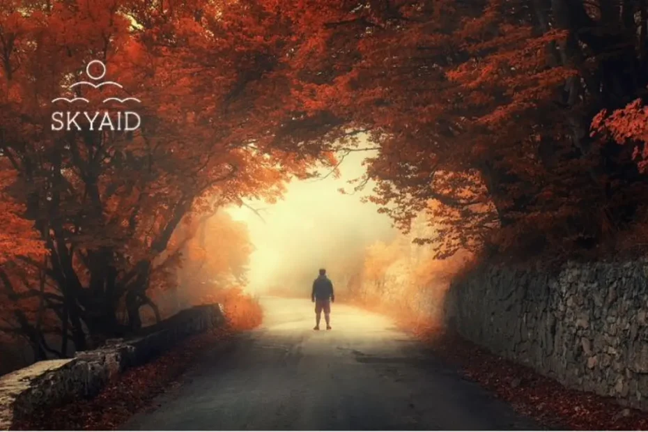Persona caminando por un sendero iluminado entre árboles otoñales, símbolo de realidad y propósito espiritual
